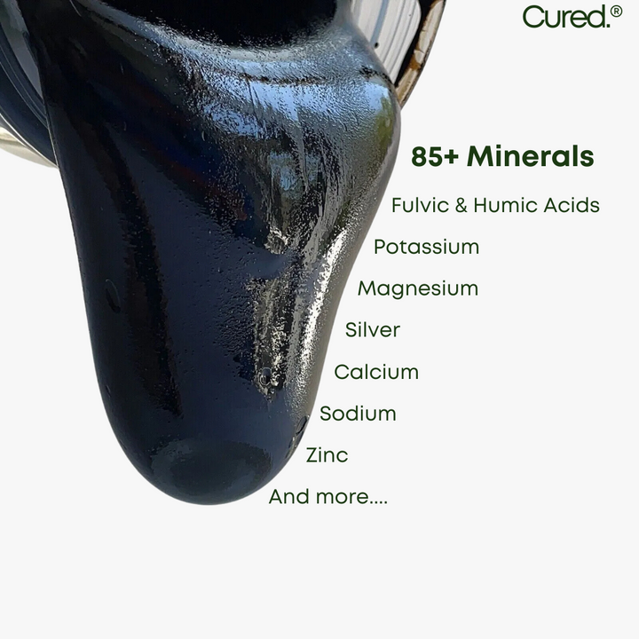 Pure Shilajit Natural Resin